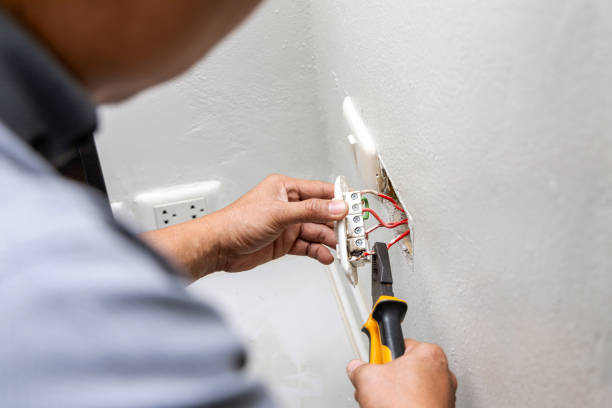 Best Electrician for Home Renovation  in Wlow Springs, IL